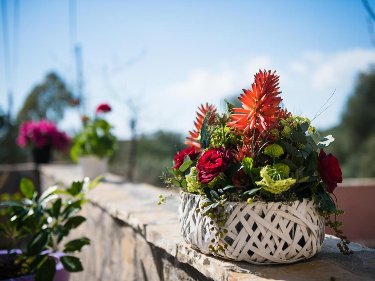 Sofias Cottage Razata Argostoli 外观 照片
